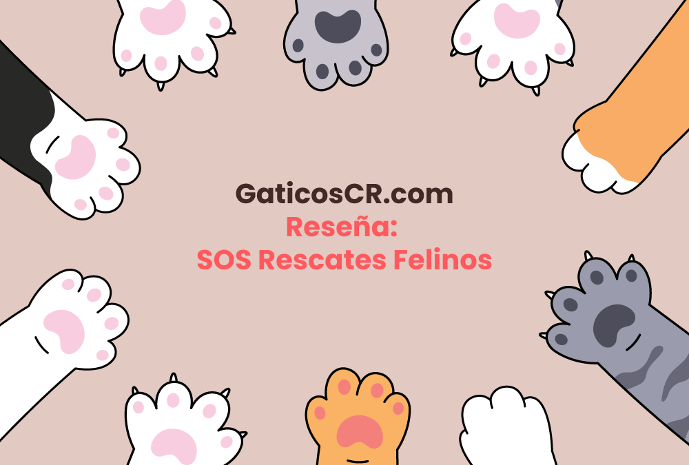 Reseña: SOS Rescates Felinos