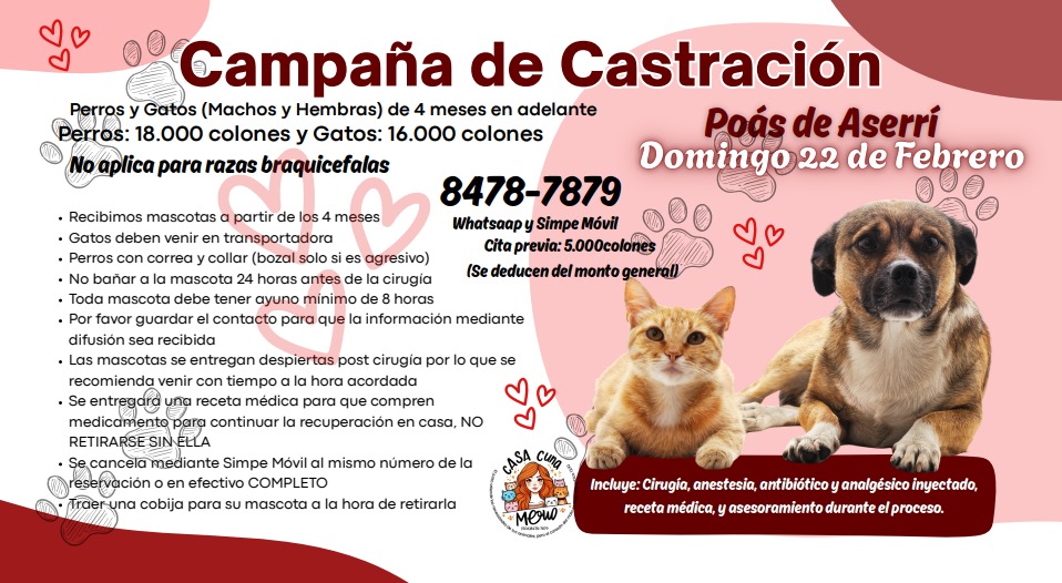 Campaña de Castración